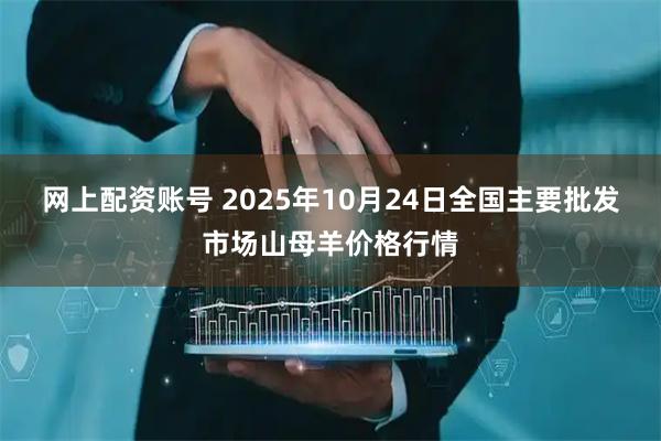 网上配资账号 2025年10月24日全国主要批发市场山母羊价格行情