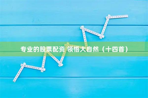 专业的股票配资 领悟大自然（十四首）